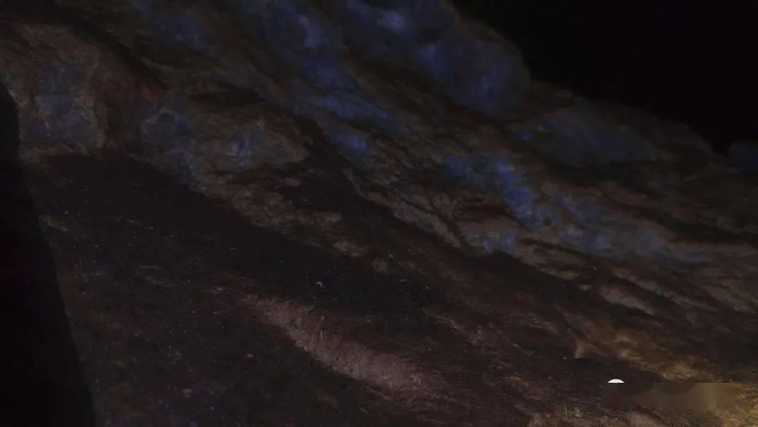 协商建言献良策 凝心聚力促发展